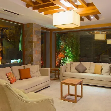 Отель Marisol Boutique Гюндоган