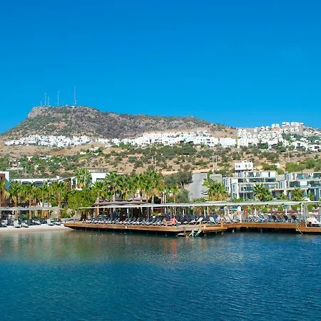 ماريسول البوتيكي