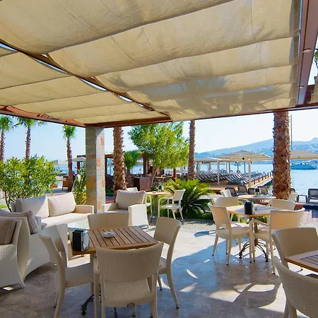 ماريسول البوتيكي