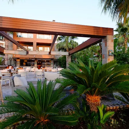 ماريسول البوتيكي فندق